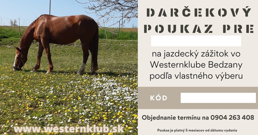 POUKAZ